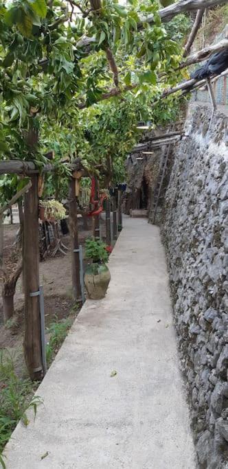 #La Limonaia Della Torretta Villa Minori Buitenkant foto