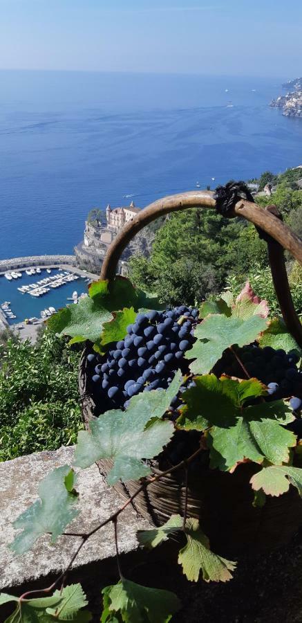 #La Limonaia Della Torretta Villa Minori Buitenkant foto